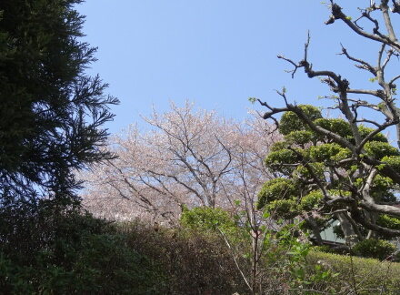 おとなり