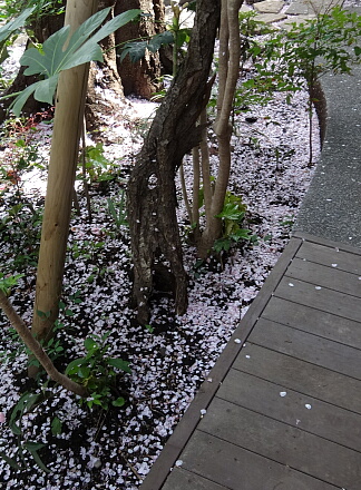 花びらで