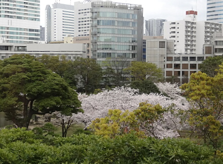 4_4sumida14-20.jpg
