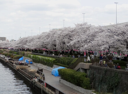 4_4sumida14-7.jpg