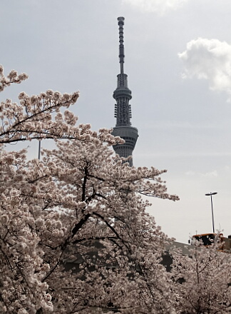 4_4sumida14-9.jpg