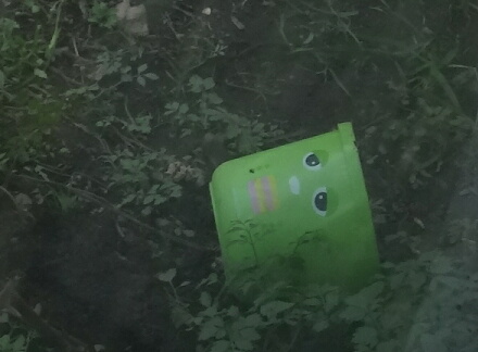 pachiさんの