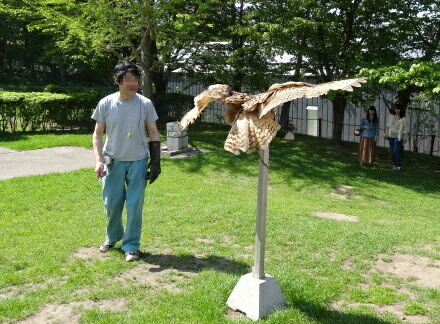 ミミズク
