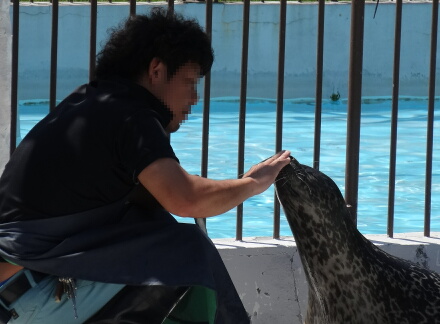 おっけ