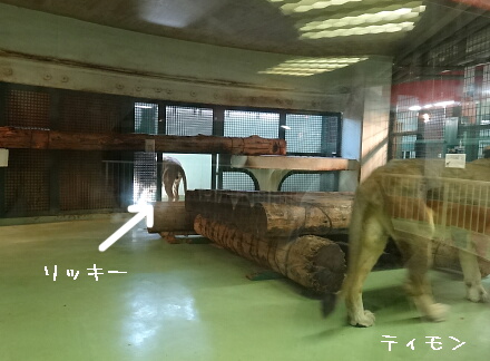 のんびり〜