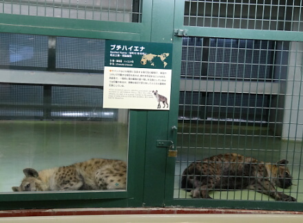 ふたりとも眠そう