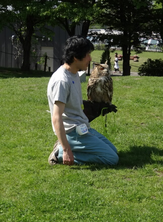 楽しかった
