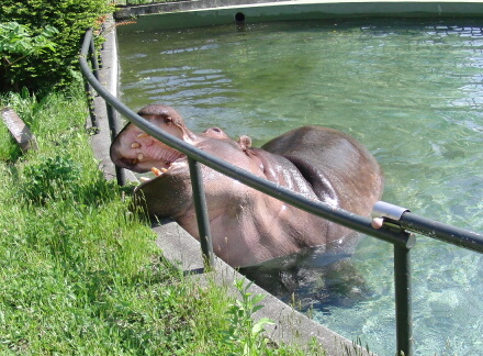 そんな中