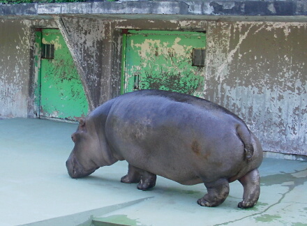 陸へ