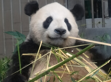 食欲旺盛