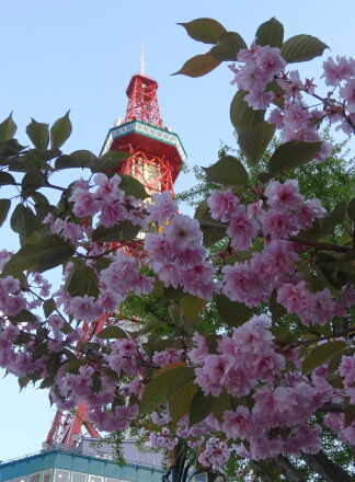6_23sapporo13-22.jpg