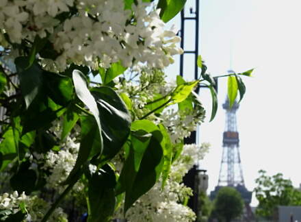6_23sapporo13-31.jpg