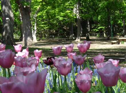 6_23sapporo13-37.jpg