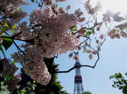 6_23sapporo13-50.jpg