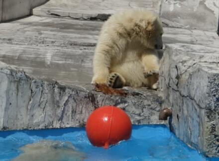どうしようぉ