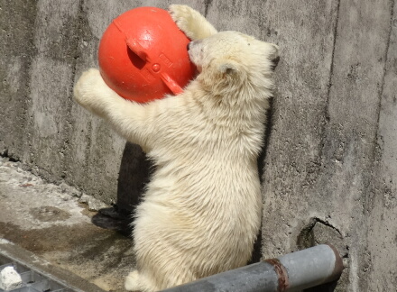 持ち上げたよ!