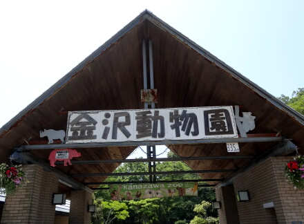 6_6kanazawa14-1.jpg