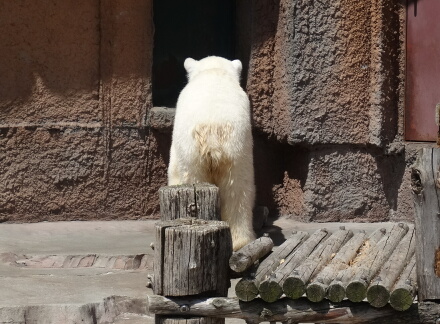 おちり〜♪