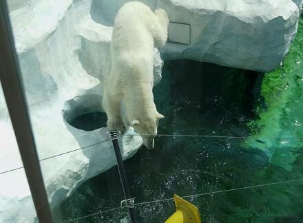 よし!