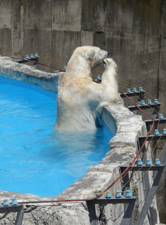 ちょうだい!
