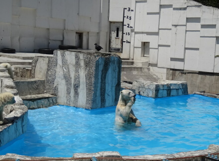ちょーだい