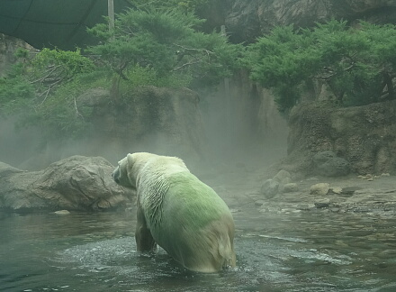 8_10bariba14-5.jpg