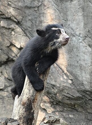 8_14meganeguma14-20.jpg
