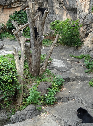 8_14meganeguma14-23.jpg