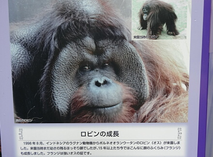 8_15zoorasia14-3.jpg