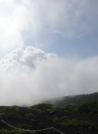 8_20fujisan13-12.jpg