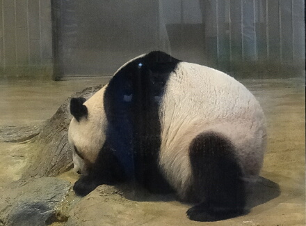 8_23shin14-11.jpg