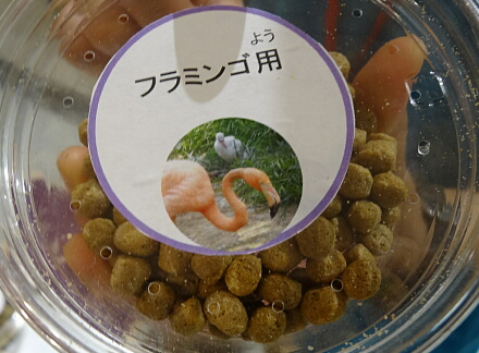 8_24daidokoro14-16.jpg