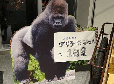 8_24daidokoro14-18.jpg