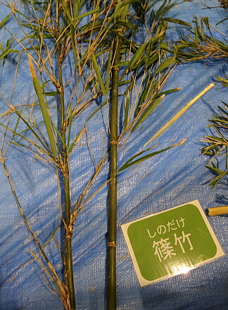 8_24daidokoro14-3.jpg