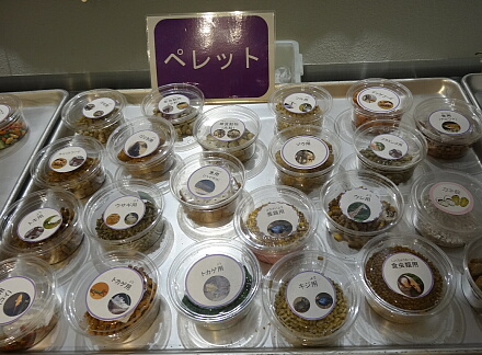 8_24daidokoro14-9.jpg