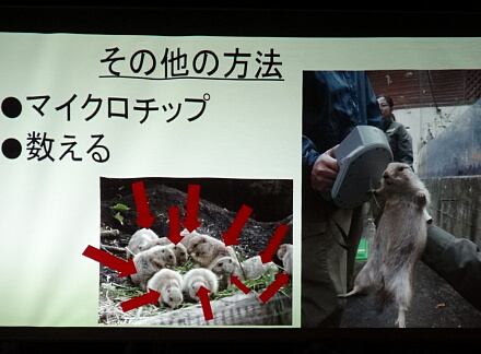 8_24fujidana14-4.jpg