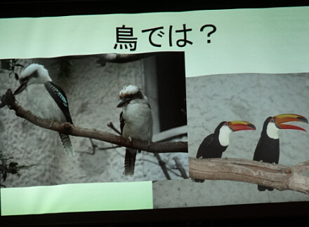 8_24fujidana14-5.jpg