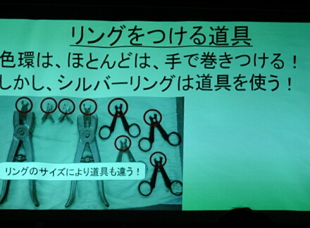 8_24fujidana14-7.jpg