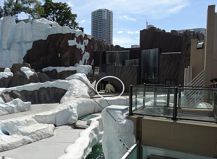 8_24ueno14-11.jpg