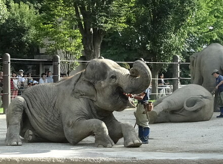 8_24ueno14-29.jpg