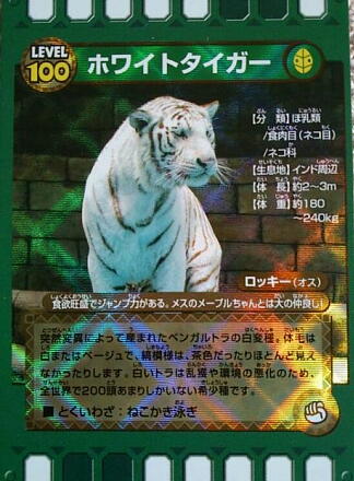 8_28tobu14-42.jpg
