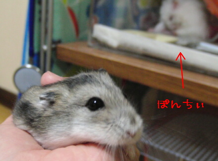 横顔はNG