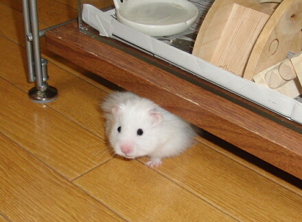 ちゃんと起きてるぅ?