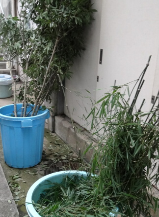 9_15ueno13-1.jpg