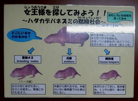 9_15ueno13-20.jpg
