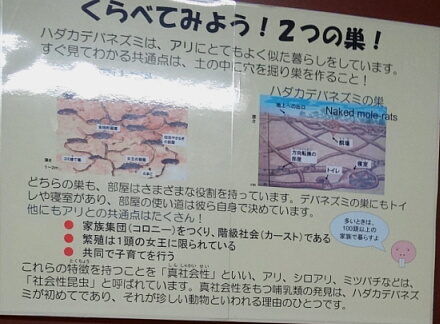 9_15ueno13-22.jpg