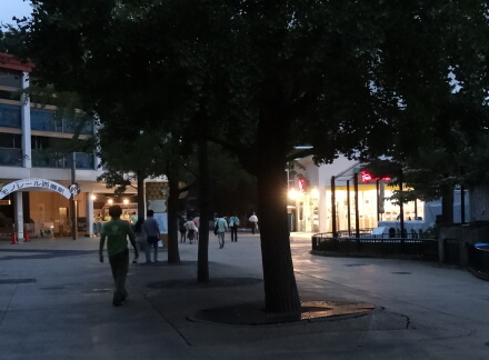9_15ueno13-25.jpg
