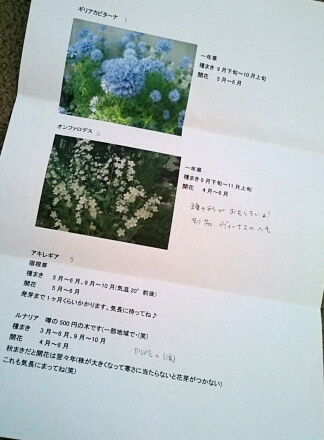 9_21flower13-2.jpg